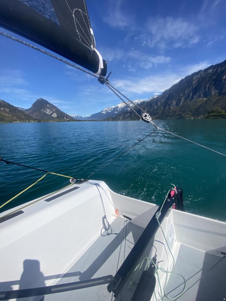 BirdyFish Race Version