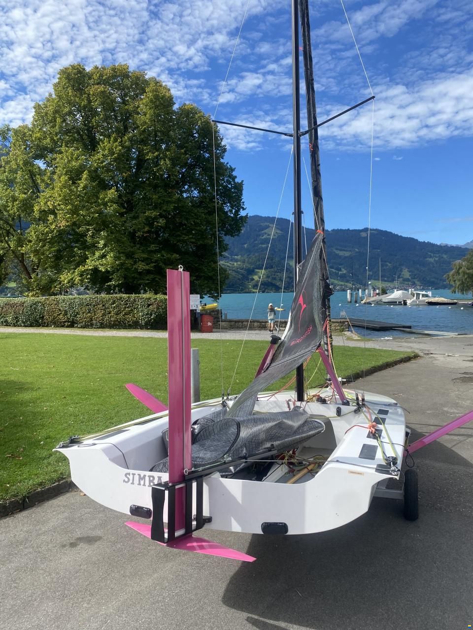 BirdyFish Race Version