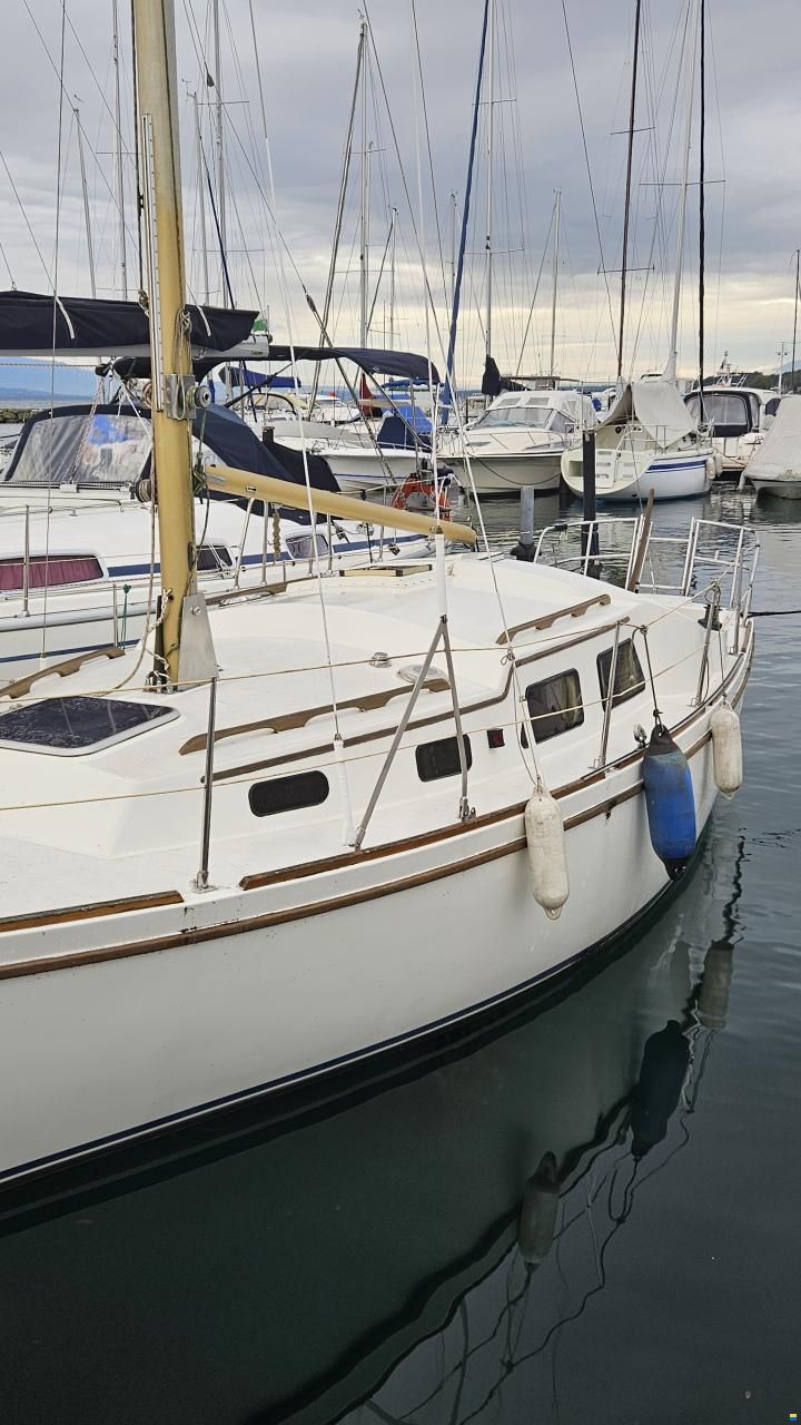 de Kloet Fellowship 28