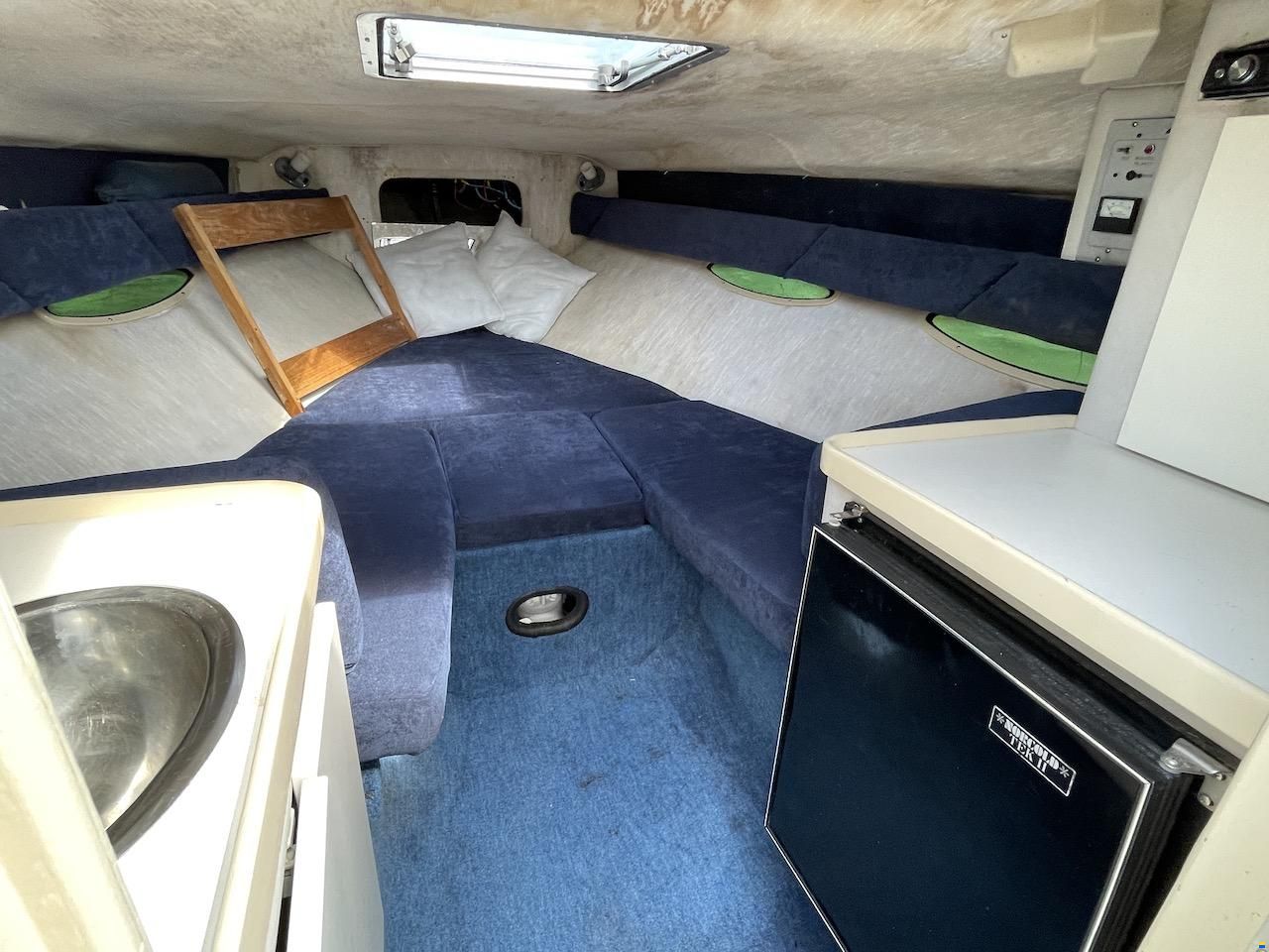Sea Ray 260