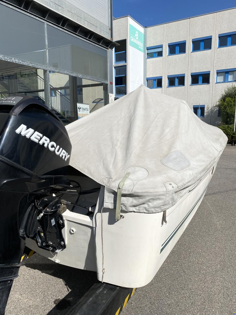 Quicksilver 500 Fish