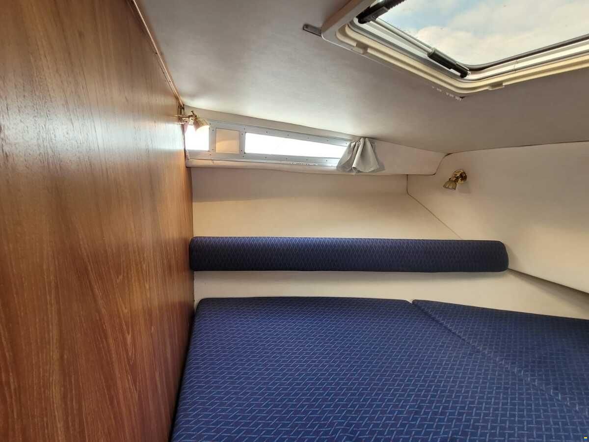 Saga 32