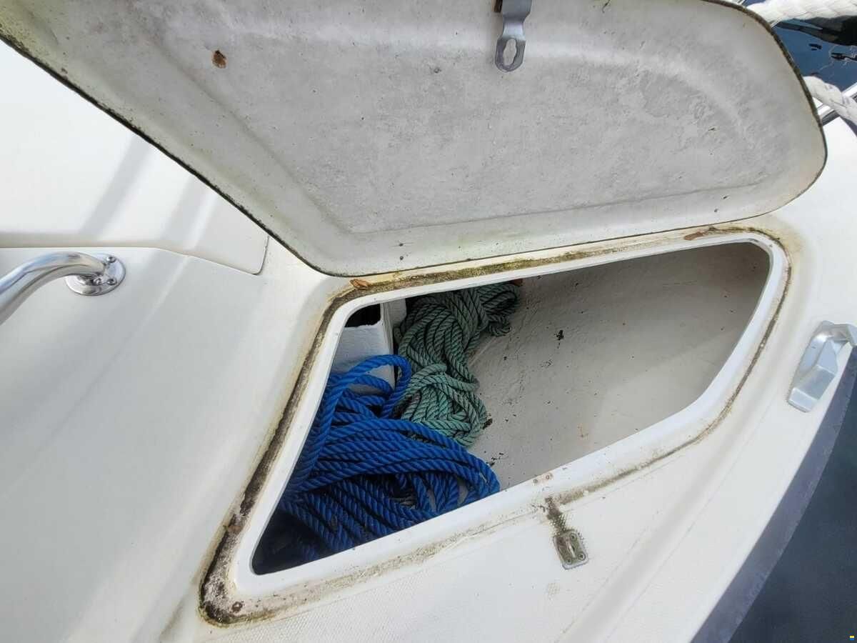 Saga 32