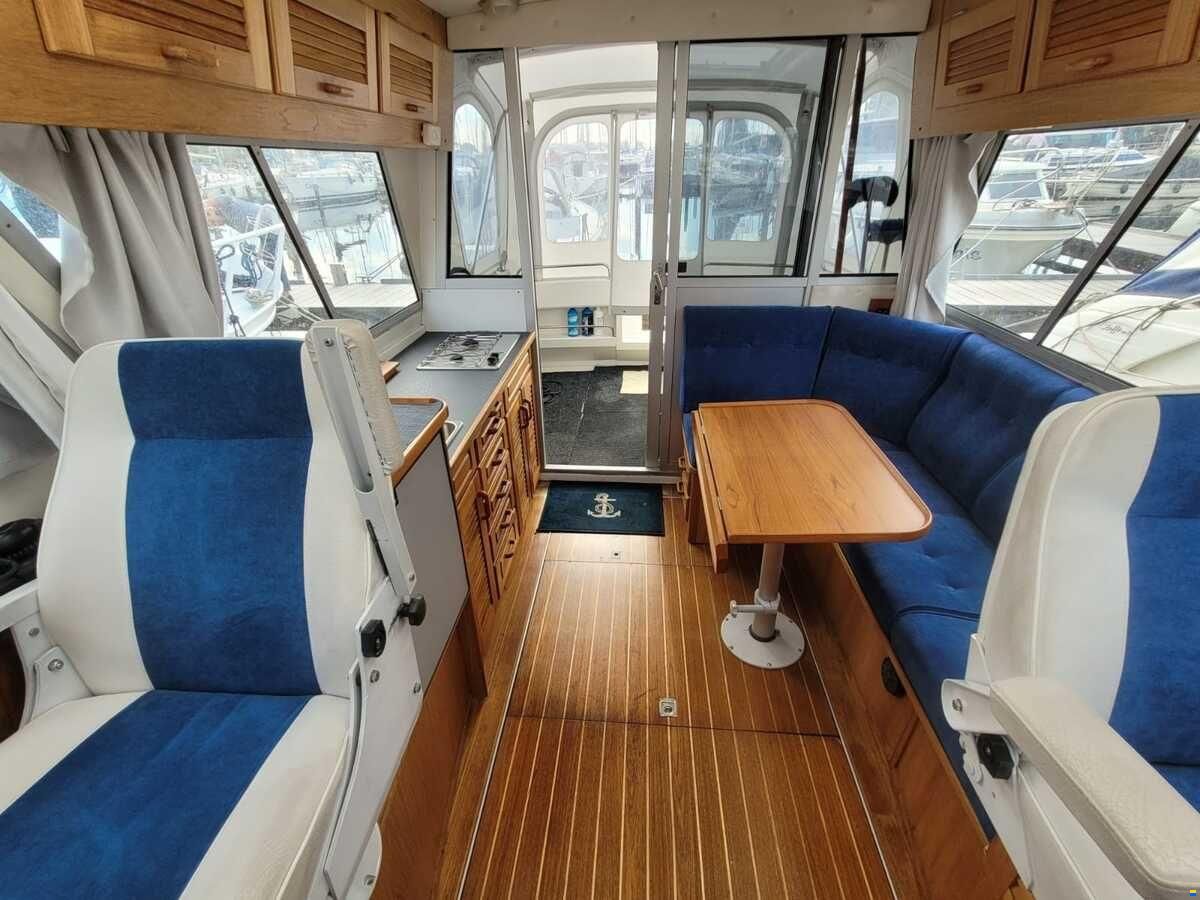 Saga 32