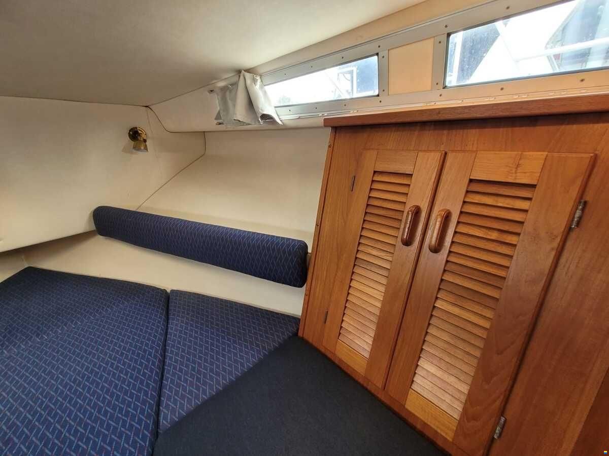 Saga 32