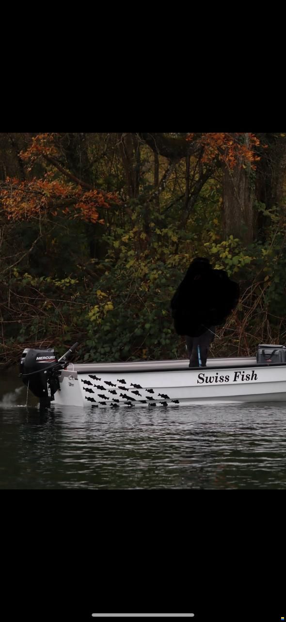 Swiss Cat Swiss Fish