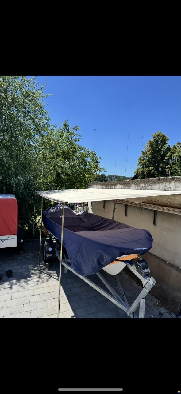 Swiss Cat Swiss Fish