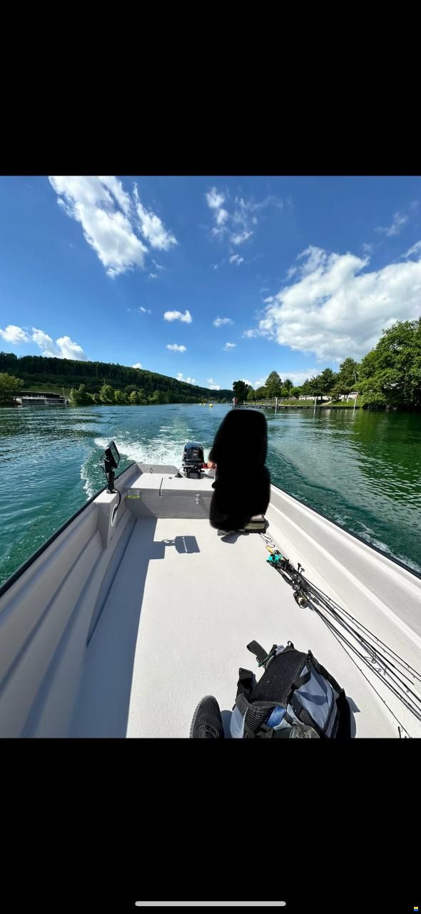 Swiss Cat Swiss Fish