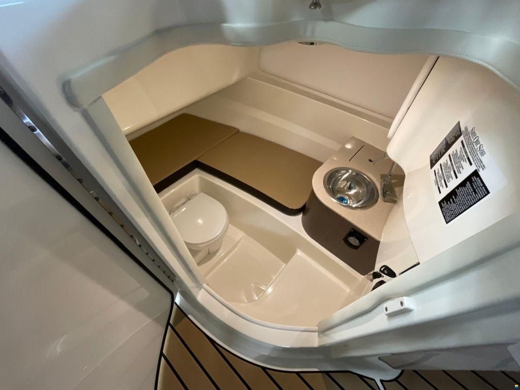 Sea Ray SDX 250 Outboard