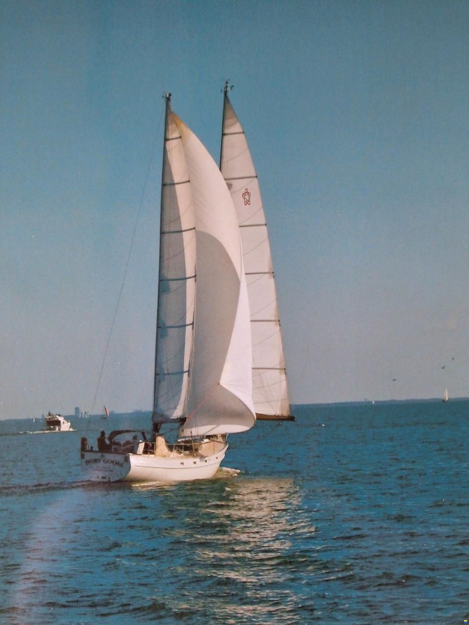 Freedom 44