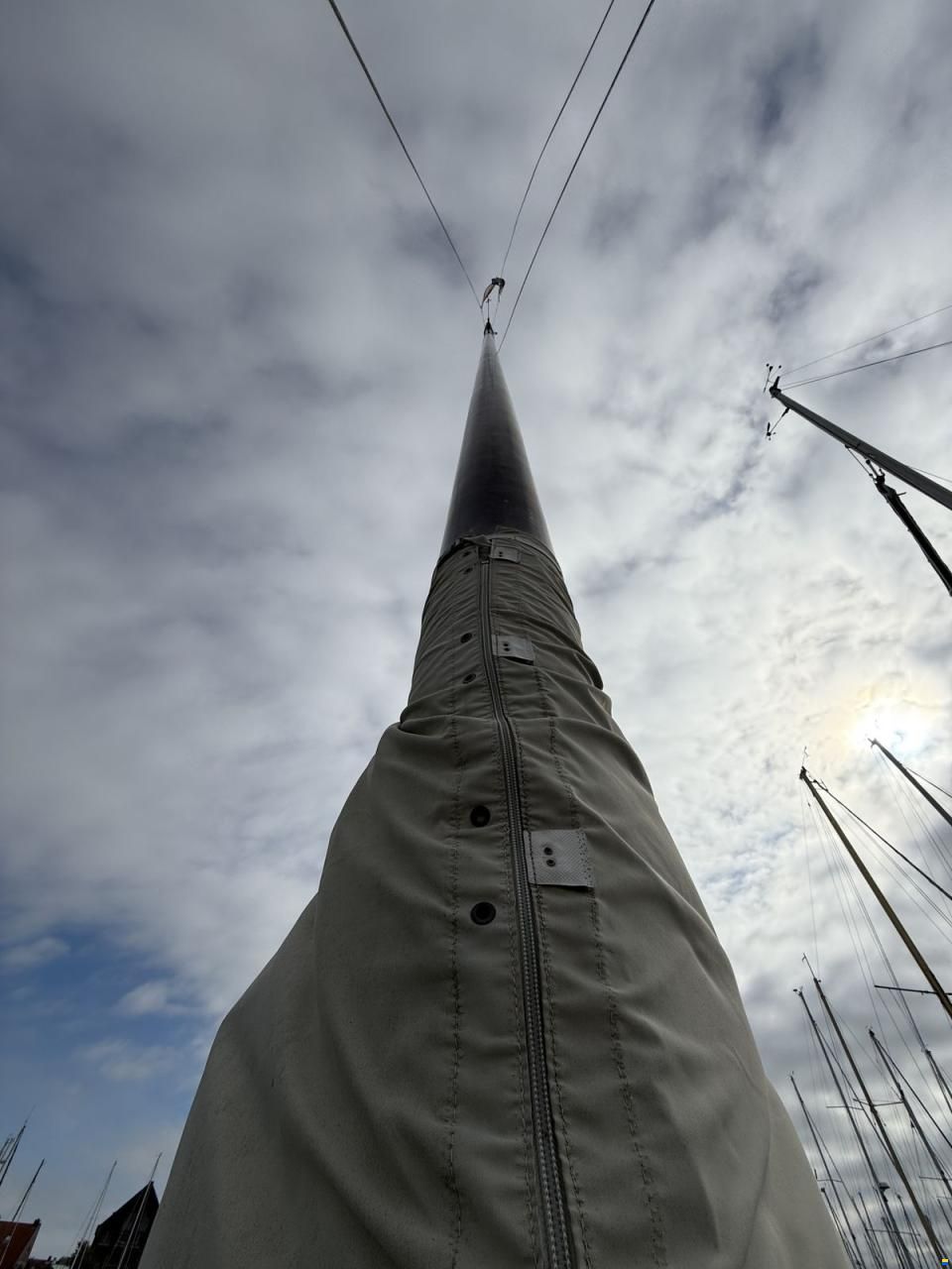 Freedom 44