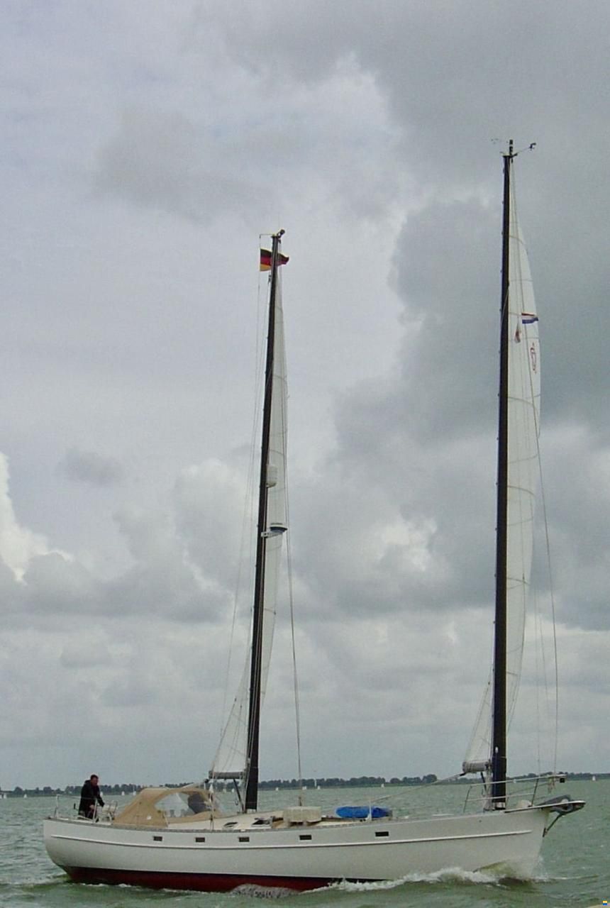 Freedom 44