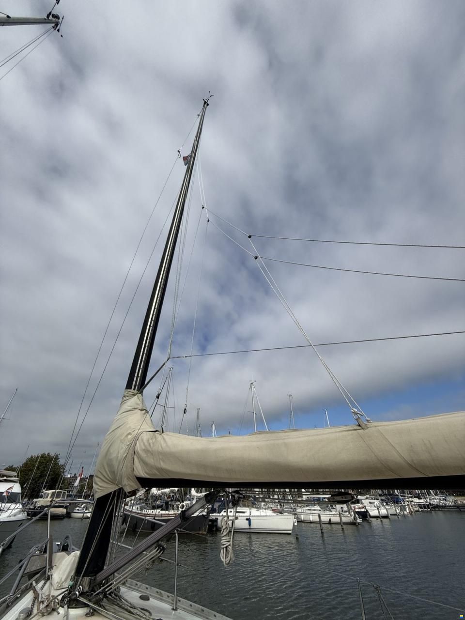 Freedom 44