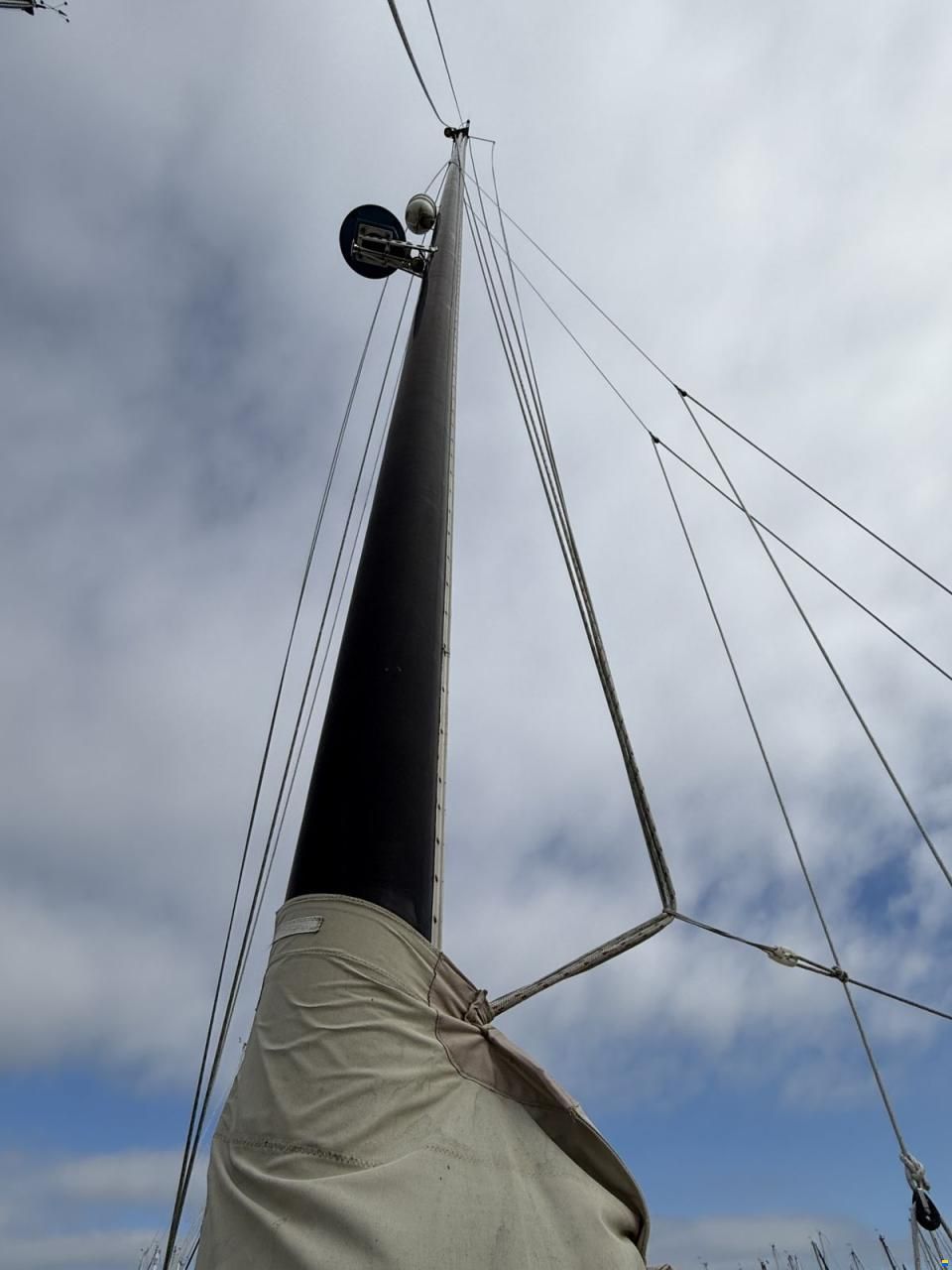 Freedom 44