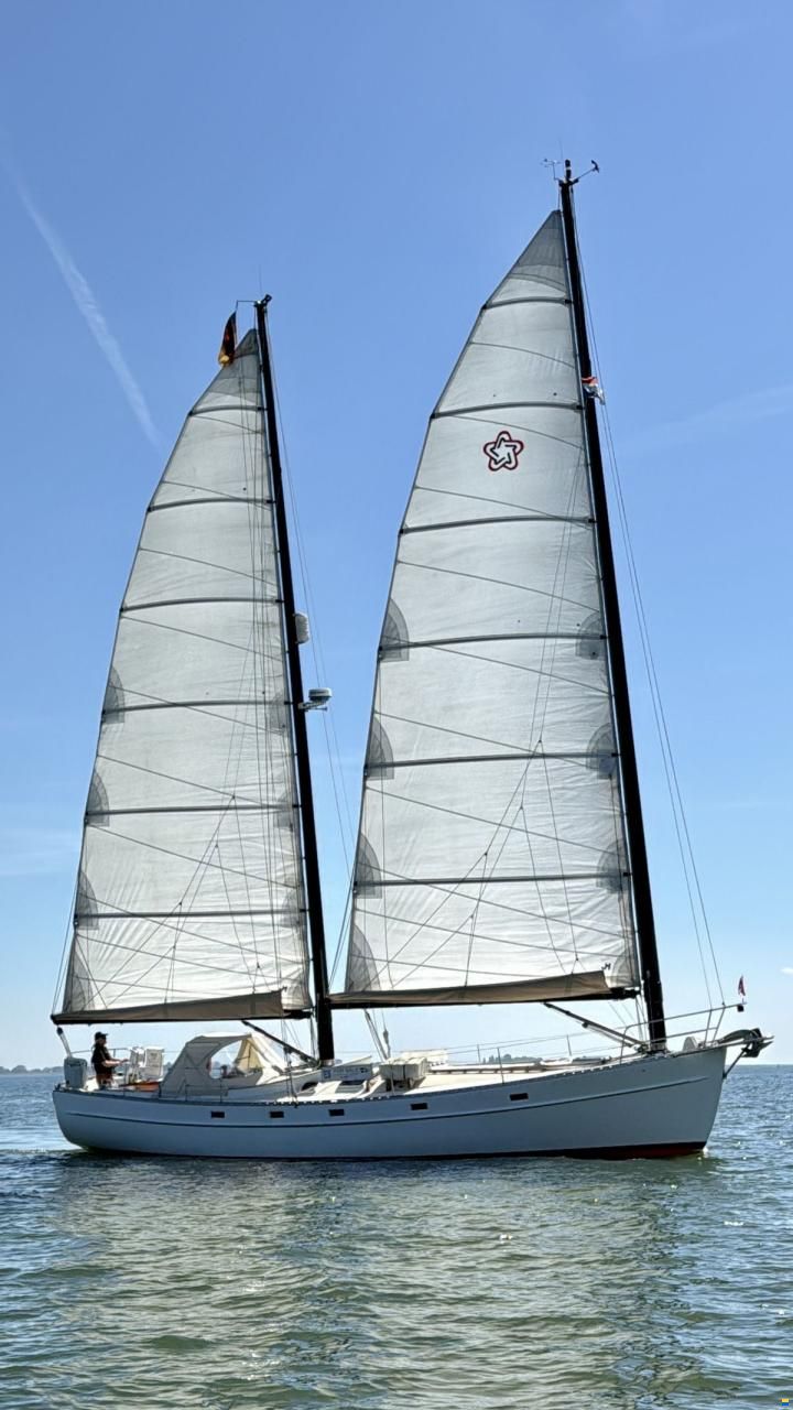 Freedom 44