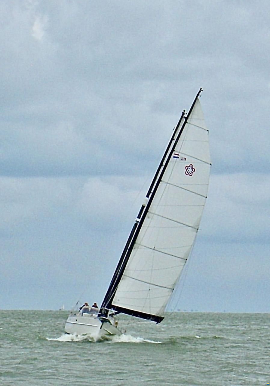 Freedom 44