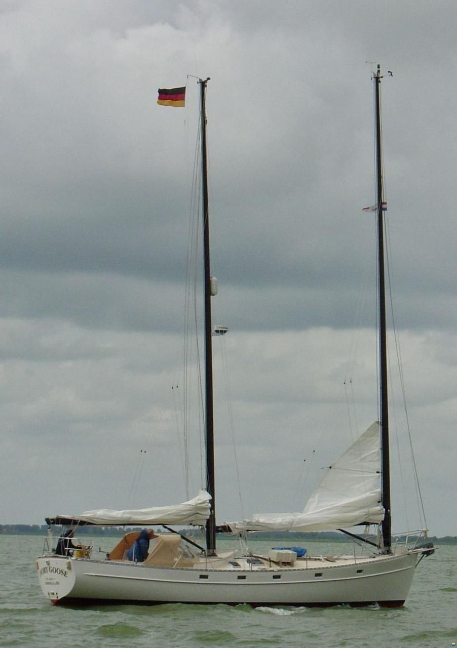 Freedom 44
