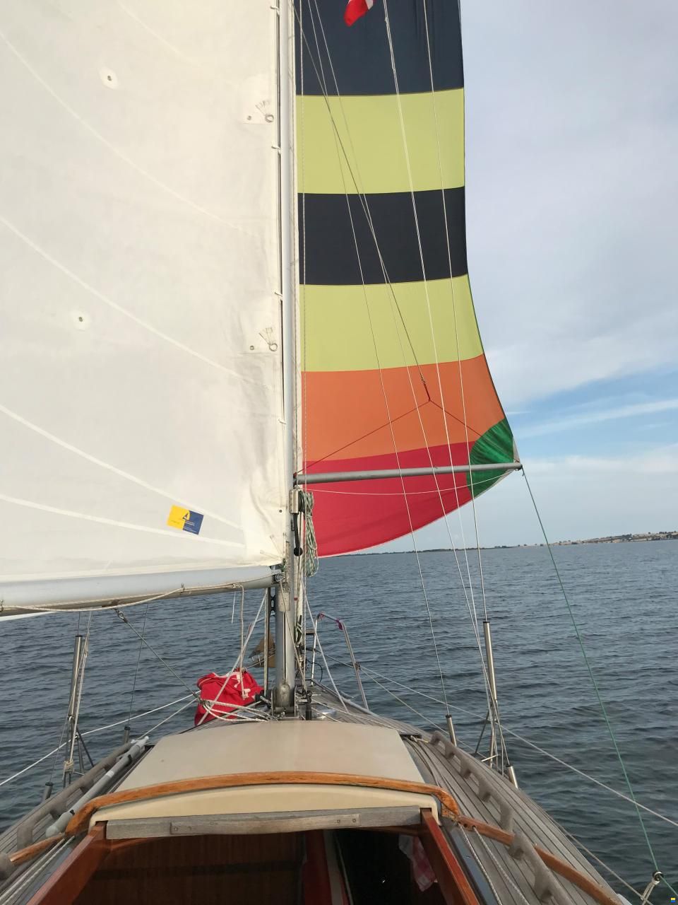 Biga 26