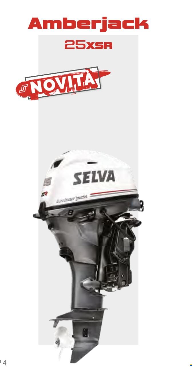 Selva Amberjack 25 EFI