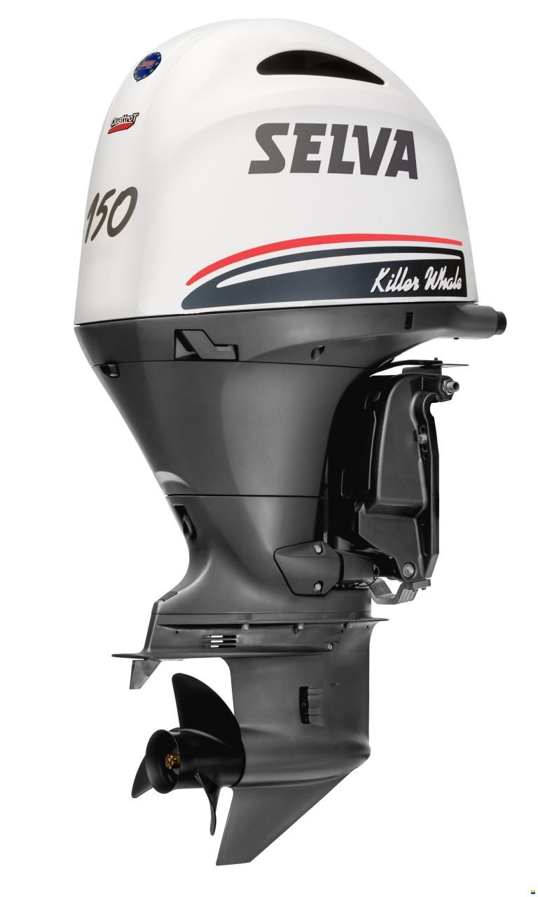 Selva Killer Whale 150