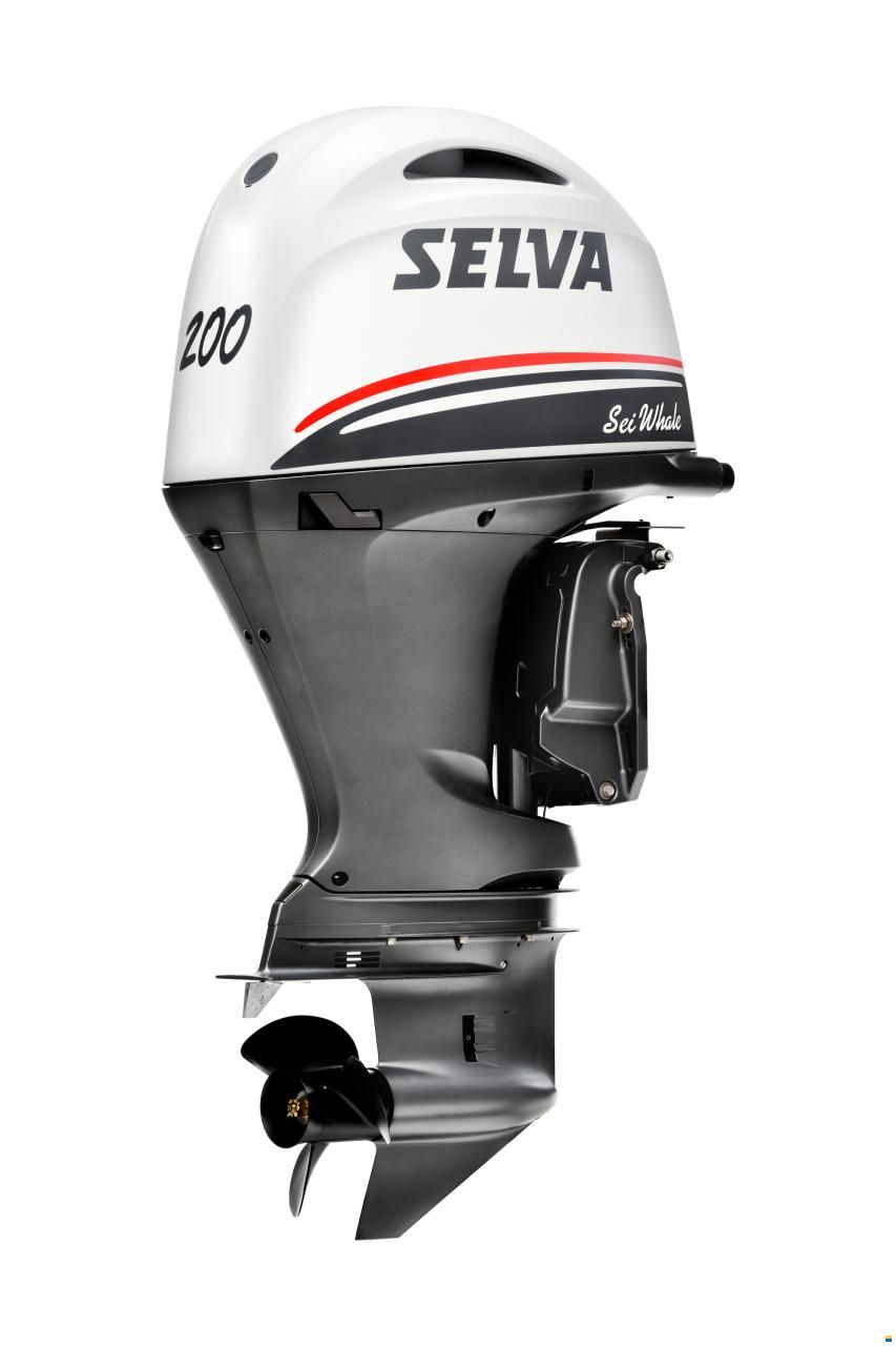 Selva Sei Whale 200