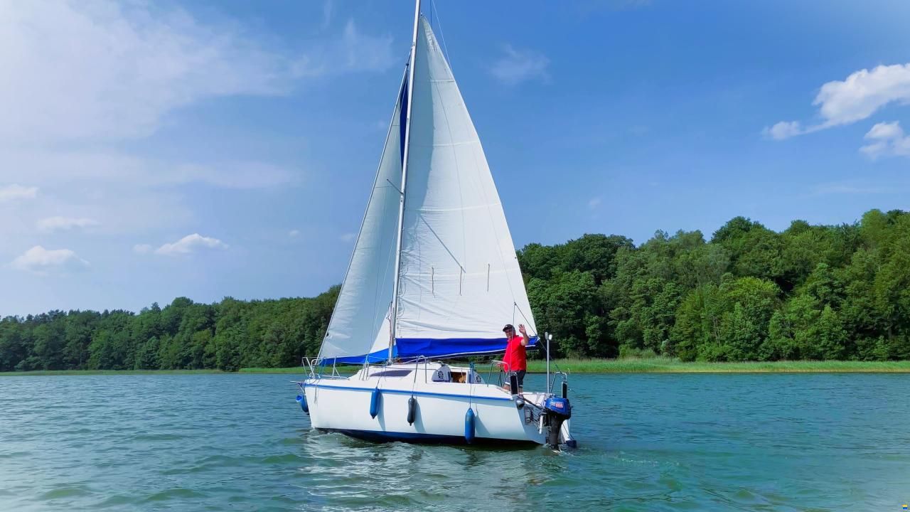 Sasanka 660