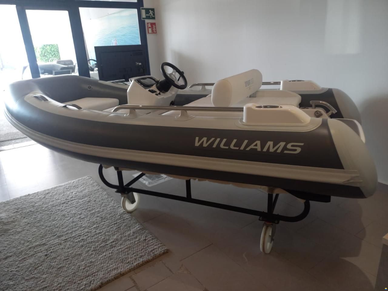 Williams Sportjet 345