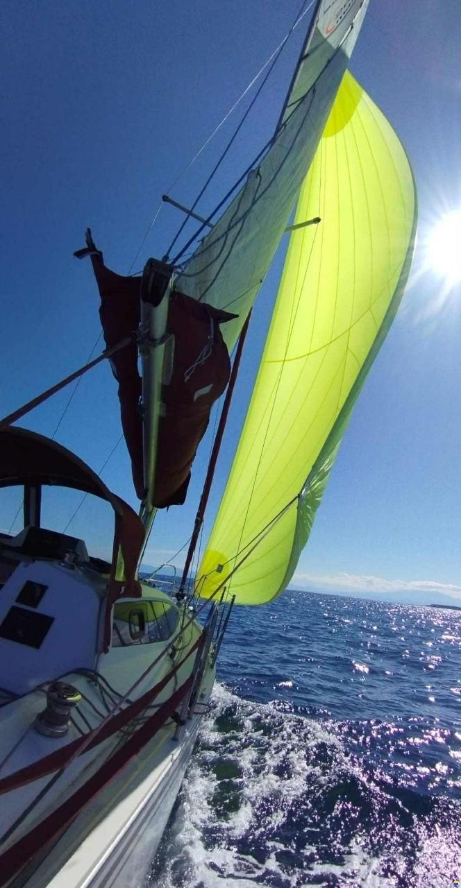Northman MAXUS 26