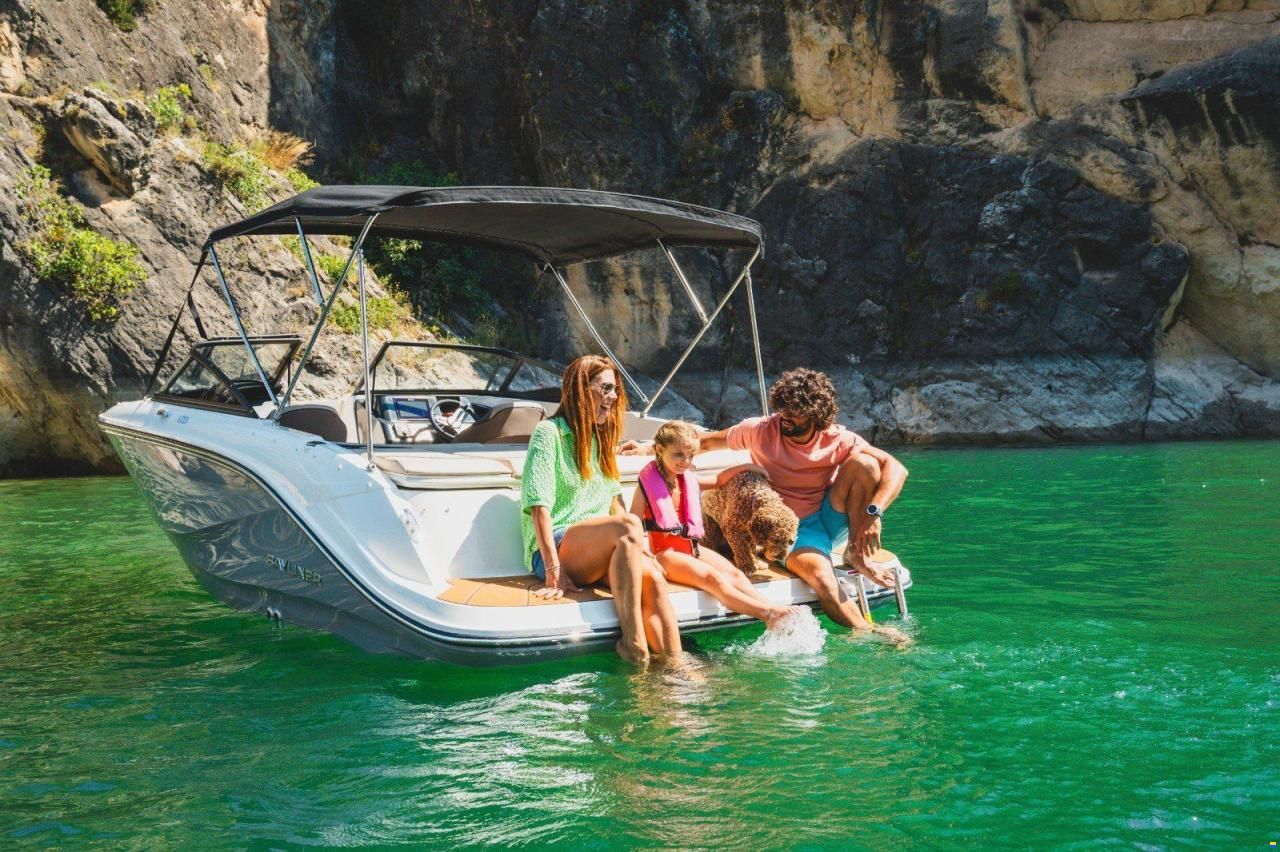 Bayliner V20I