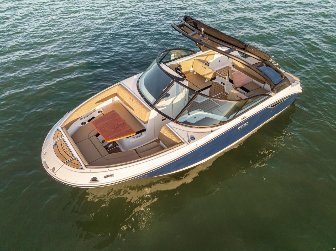 Sea Ray SDX230E & Trailer