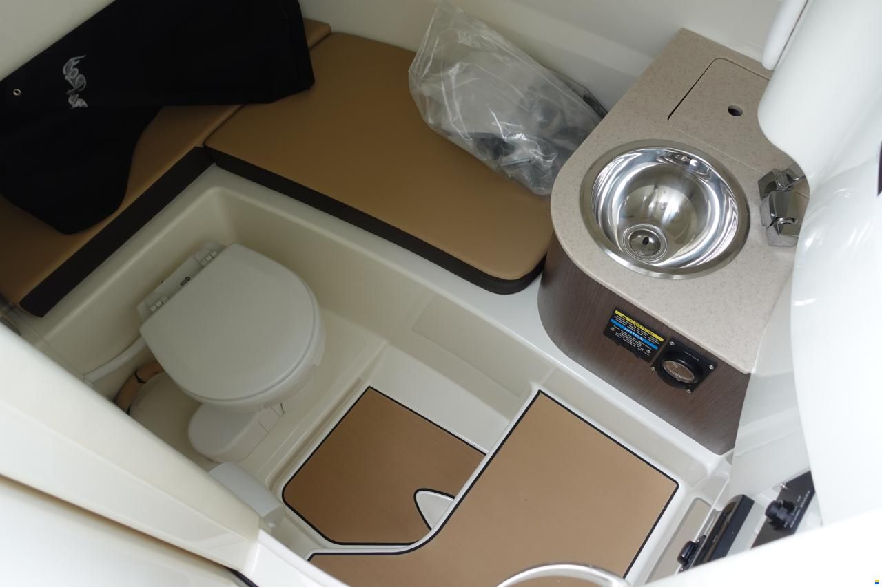Sea Ray SDX250E & Trailer