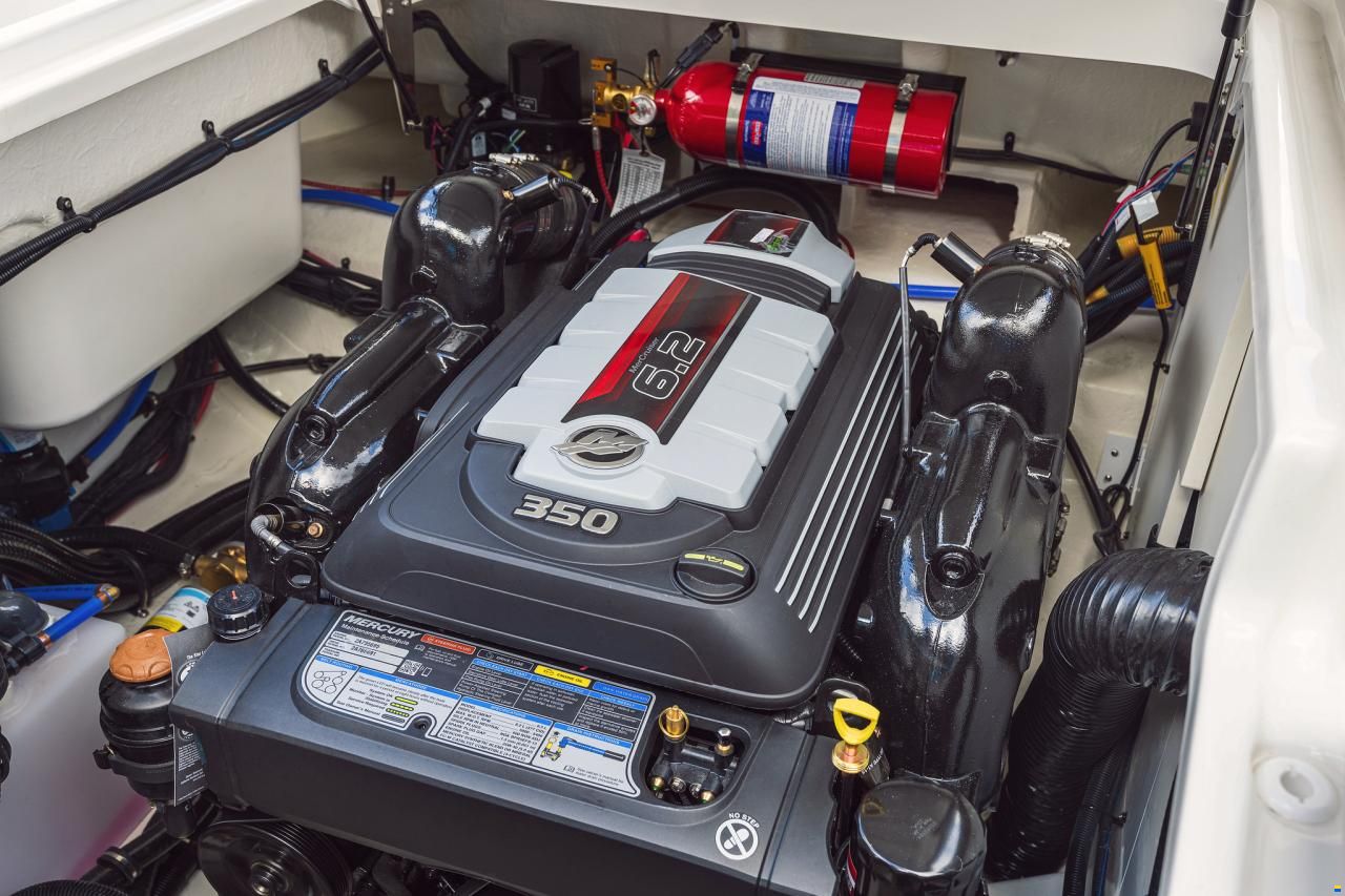 Sea Ray SDX250E & Trailer