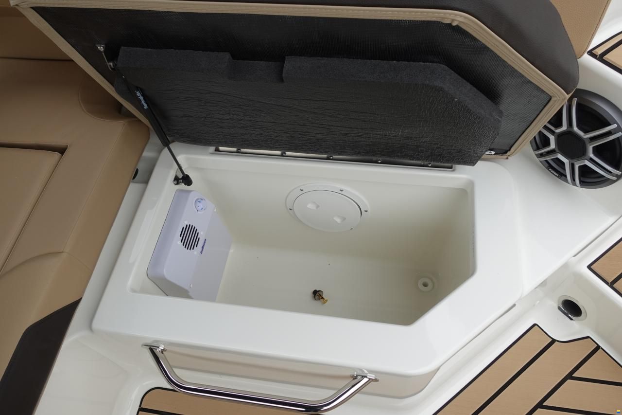 Sea Ray SDX250E & Trailer
