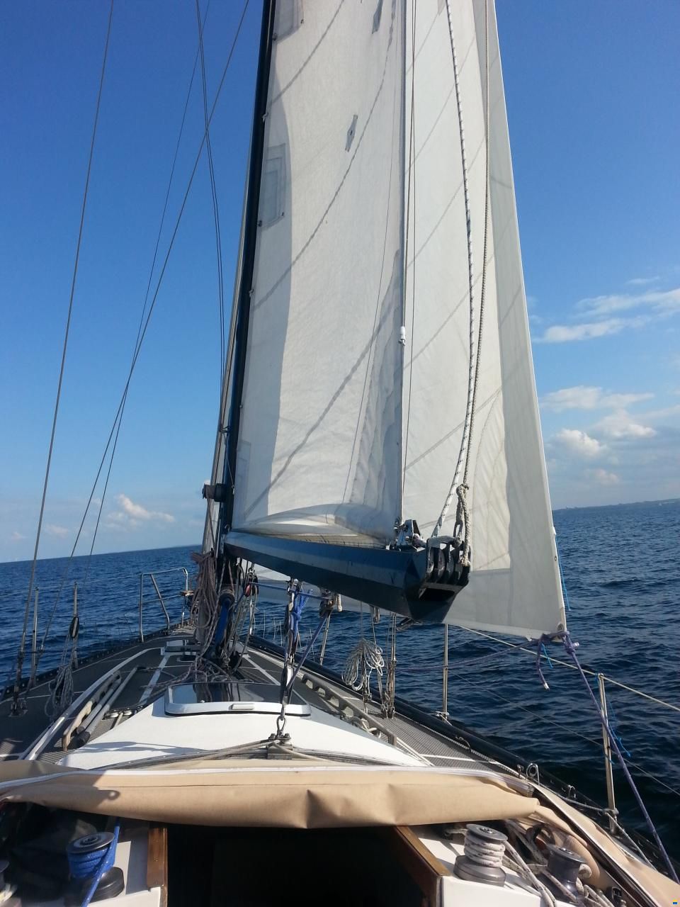 Helmsman Barracuda 35