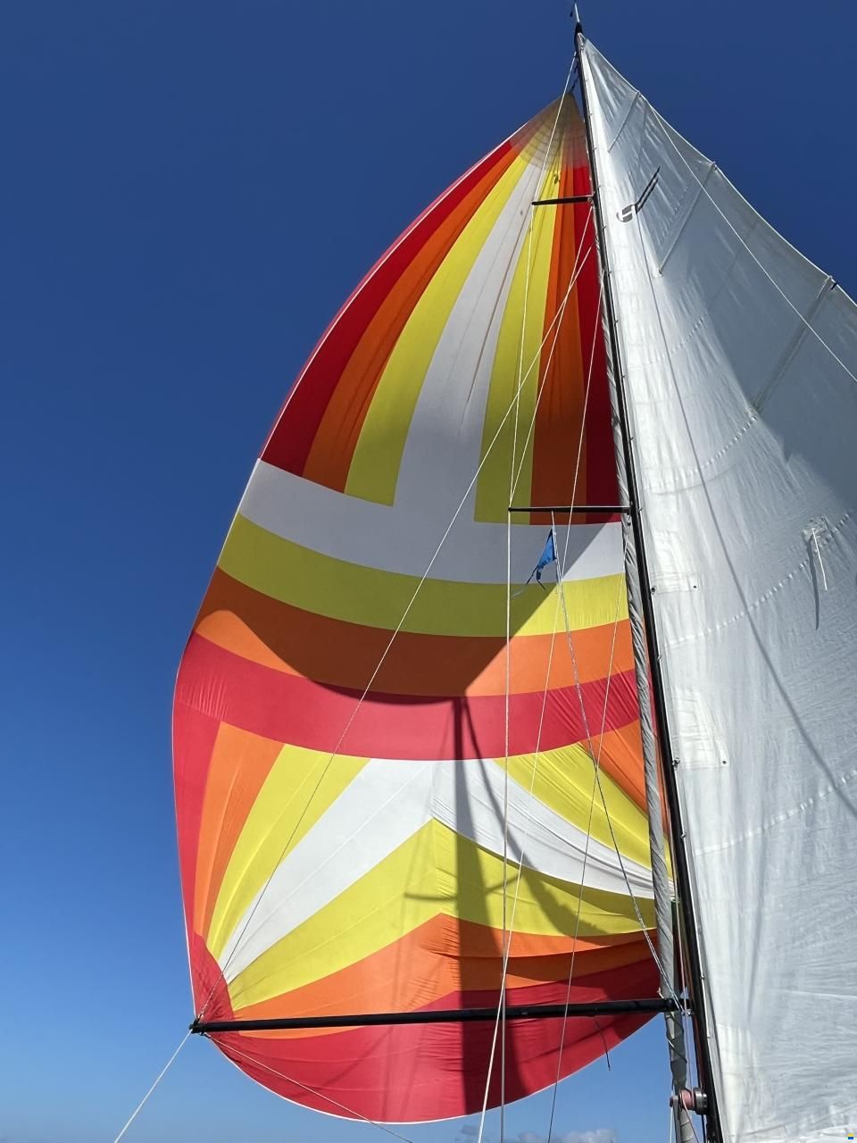 Helmsman Barracuda 35