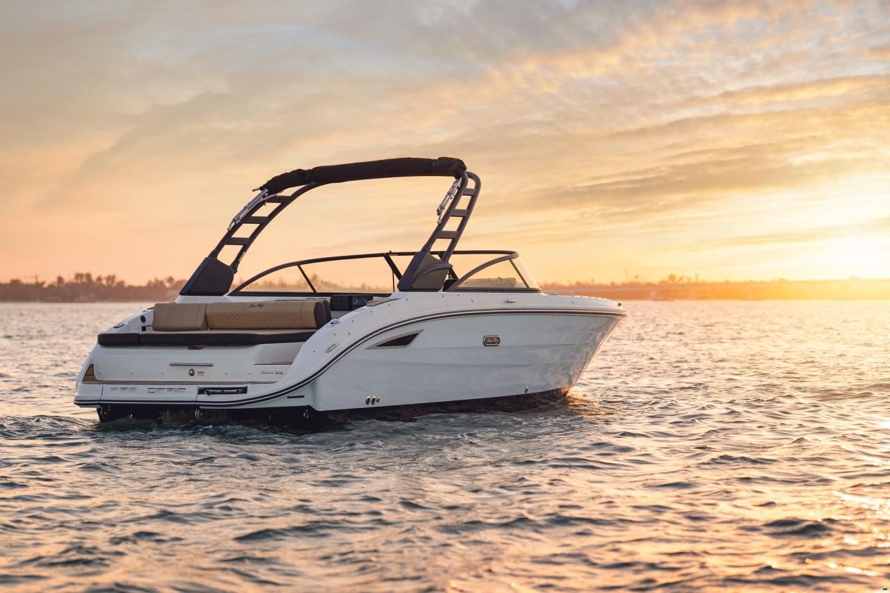 Sea Ray SDX270E & Trailer