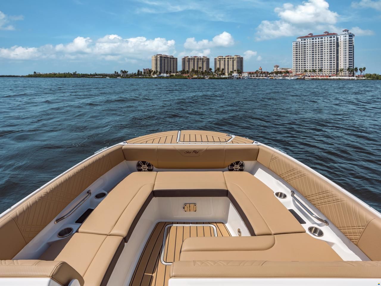 Sea Ray SDX270E & Trailer