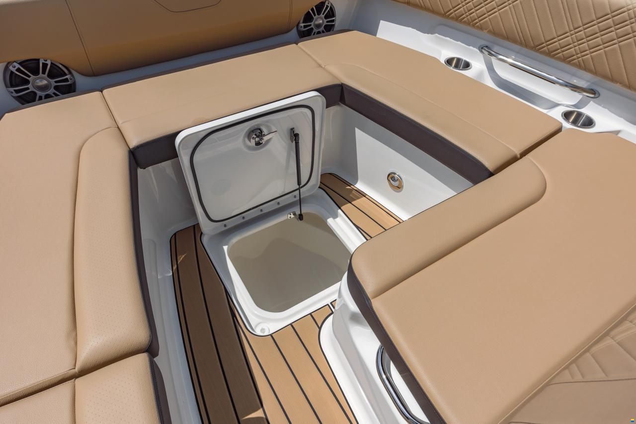 Sea Ray SDX270E & Trailer