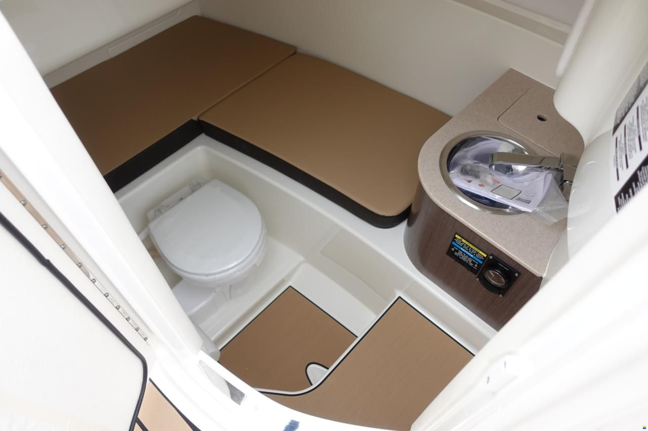 Sea Ray SDX 270 SURF EU & Trailer