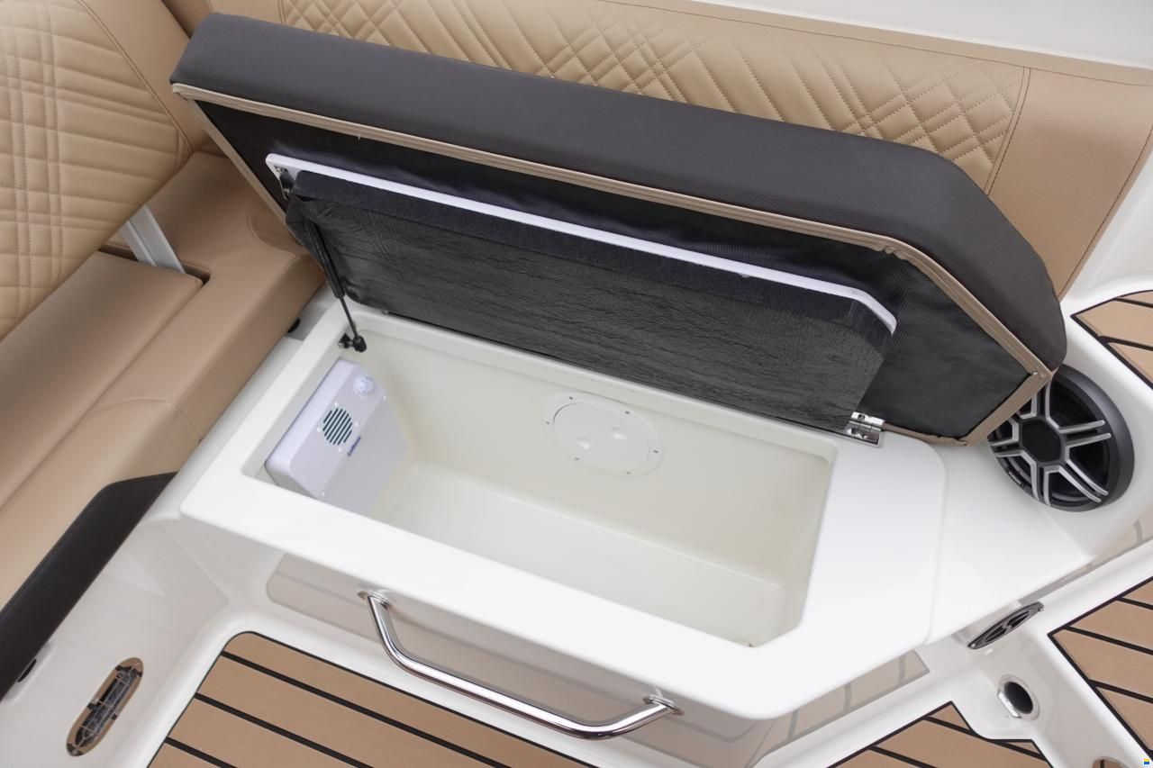 Sea Ray SDX 270 SURF EU & Trailer
