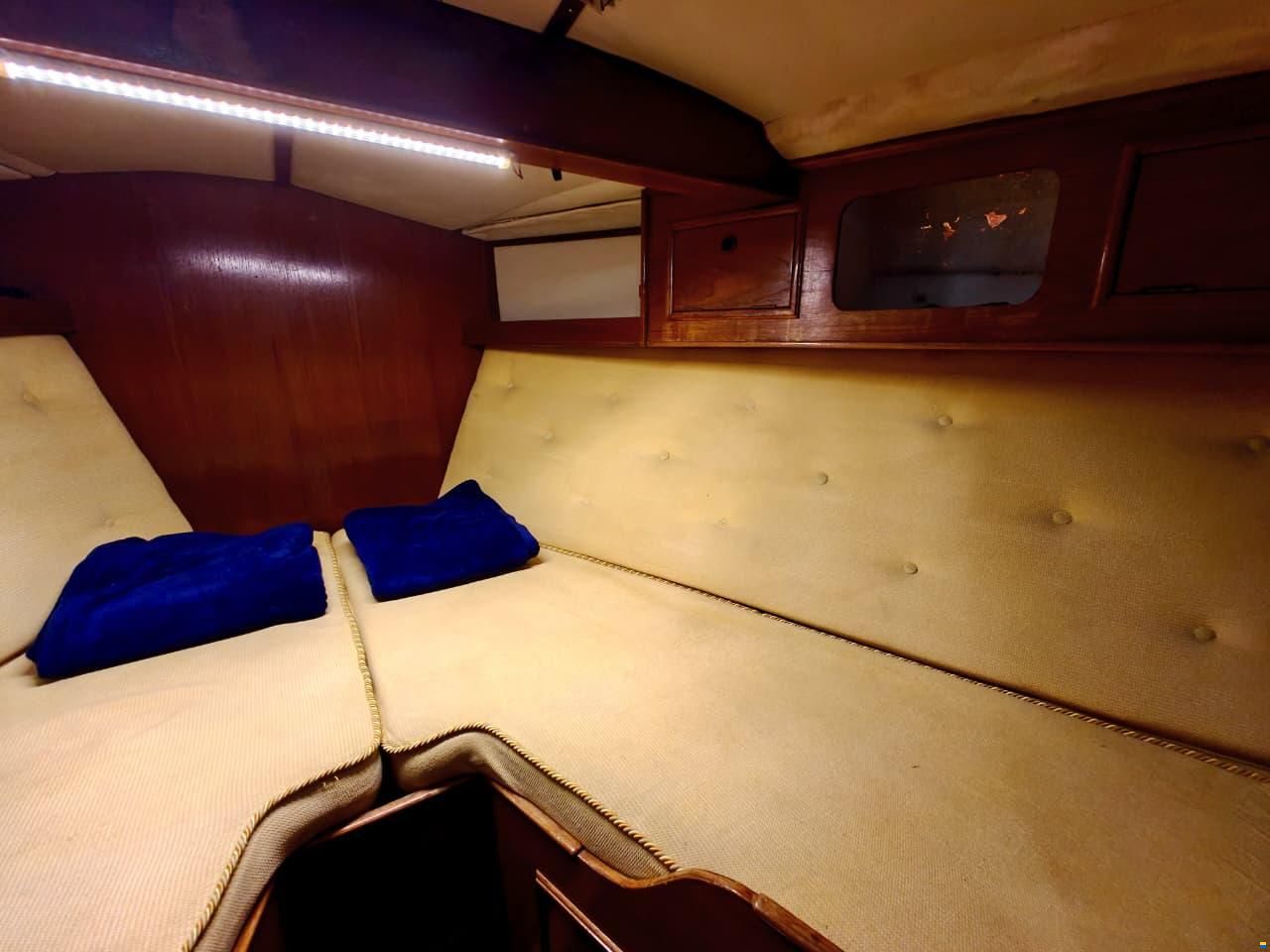 Colvic Victor 41