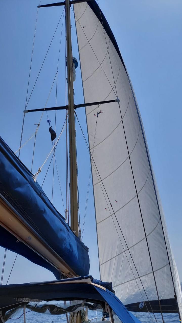 Colvic Victor 41