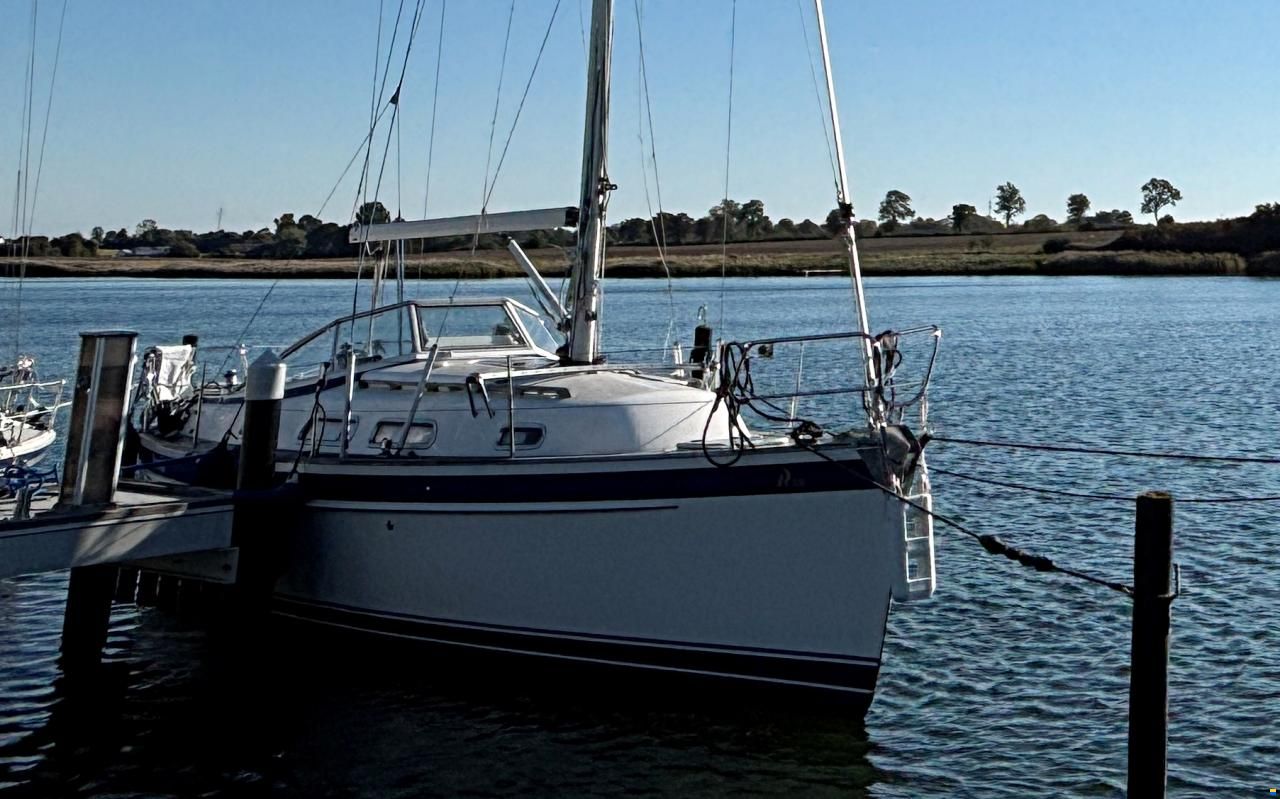 Hallberg-Rassy 310