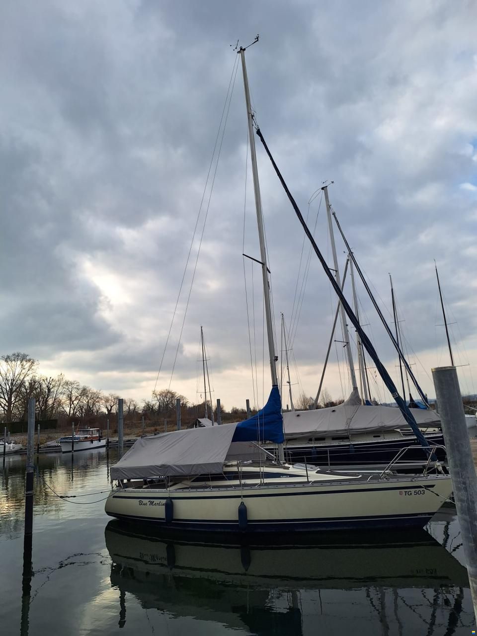 Bjørn Olsen OLSEN 31