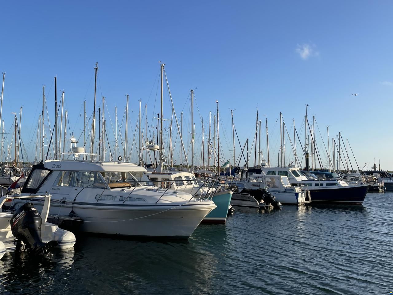 Saga 315
