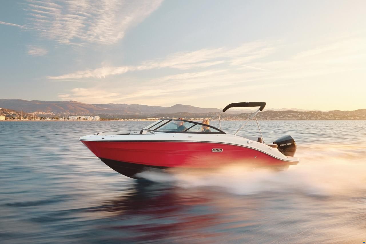 Sea Ray SPX 210 OB Europe