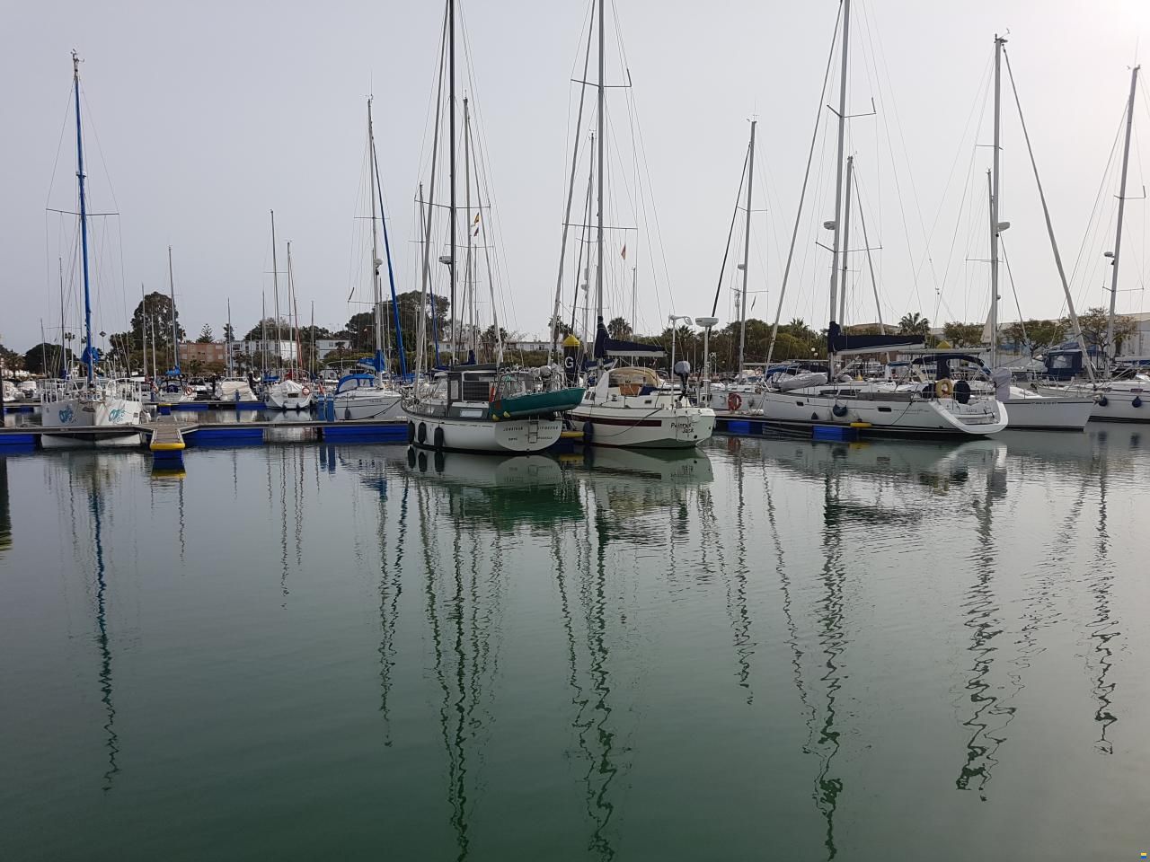 Coronet Elvstrom 38