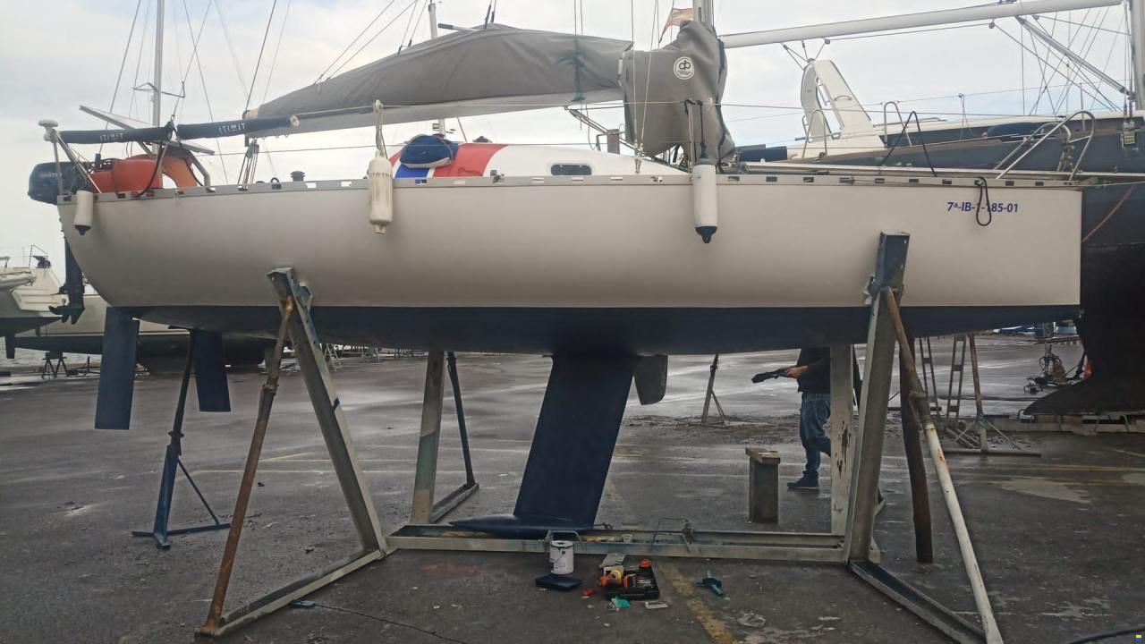 Pogo Minitransat 650