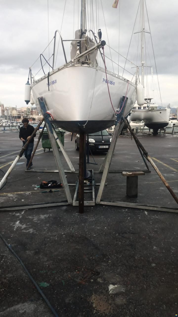Pogo Minitransat 650