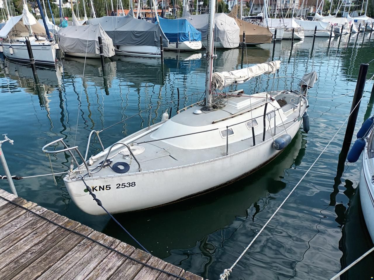 Flipper Scow Spaekhugger